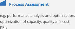 Process Assessment e.g. performance analysis and optimization, optimization of capacity, quality ans cost, KPIs