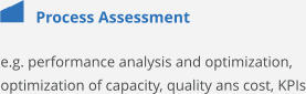 Process Assessment e.g. performance analysis and optimization, optimization of capacity, quality ans cost, KPIs
