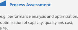 Process Assessment e.g. performance analysis and optimization, optimization of capacity, quality ans cost, KPIs