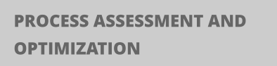 PROCESS ASSESSMENT AND OPTIMIZATION